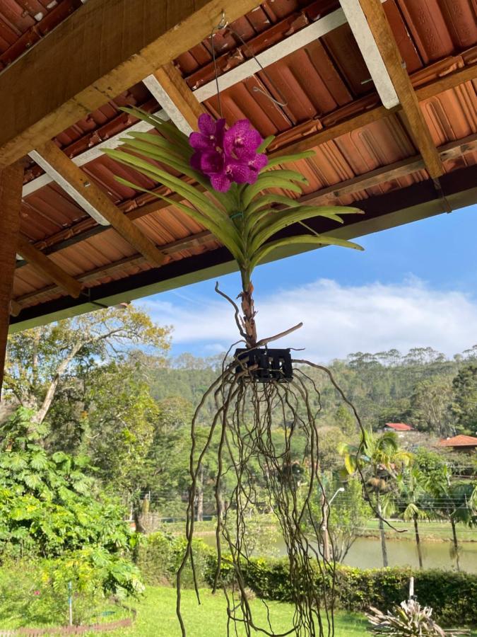 特雷索波利斯Casa Na Serra别墅 外观 照片